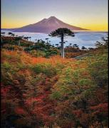 Top Melipeuco Top Melipeuco