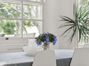 Jacaranda Villa Korora Beach NSW