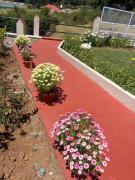 Top Ooty