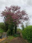 Top Villeneuve-sur-Lot