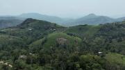 Top Vagamon Top Vagamon