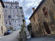 Top Gubbio Top Gubbio