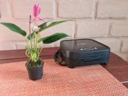 Chalé À800Mts do Parq Chapada dos Veadeiros, Wi-fi