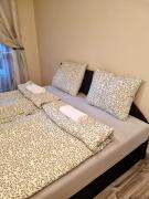 Center Budapest House full Apartment with garden