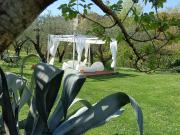 Top Santo Stefano di Magra