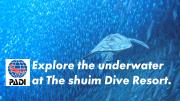 The Shuim Dive Resort Moalboal