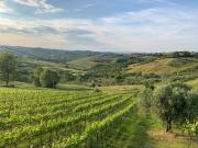 Top Borghi