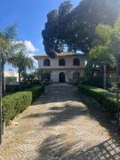 Top Marsala