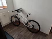 Top Kamenický Šenov