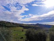 Top Colognola ai Colli