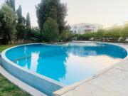 Top Paphos City