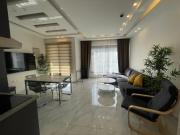 Premium 1BR Furnished Apartment