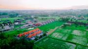 Top Ubud