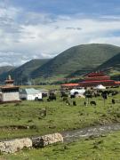 Top Kangding