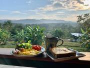 Tiny House on the Hill Farmstay