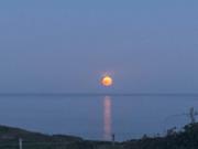Cosy Seaside Cottage Baltimore