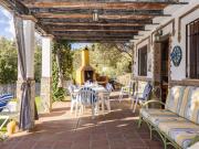 Top Torrox Top Torrox