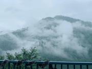 Tatsaaraa Kavan