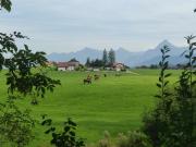 Top Füssen