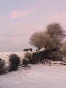 Top Mettet Top Mettet