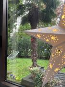 Top Cardano al Campo