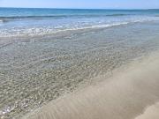 Villa degli Ibiscus Villa degli Ibiscus