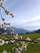 casa vacanze campagna in compagnia