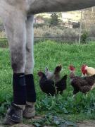 Top Sao Pedro de Tomar