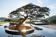 Top Liyang