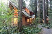 Snowline Cabin 4 - Pet-friendly cedar cabin with a private outdoor hot tub