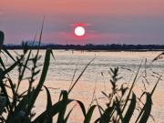 Top Caleri Top Caleri