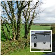 Top Newquay Top Newquay