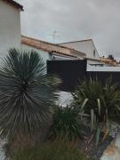 Top Lunel
