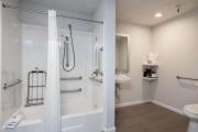 Top Milpitas