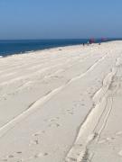 Top Stazione di San Sostene