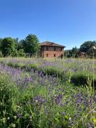 Top Casalecchio di Reno