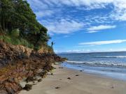 Wild Rowan Cottage - 2 Bedroom