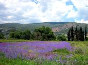 Top Mykines Top Mykines