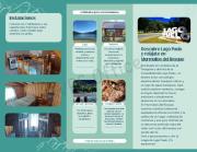 Murmullos del bosque