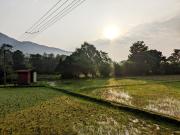 Top Thirunelli