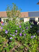 Top Chaumont-sur-Loire