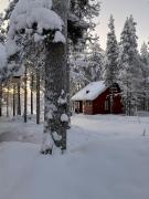 Cozy and comfortable cottage, Levi Lapland