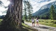 Top Seefeld in Tirol
