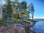 Blue Moment at the Arctic Circle- Forest, beach, activities