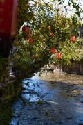 Top Lijiang