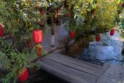 Top Lijiang