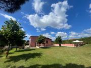 Top Velletri