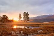 Top Underberg