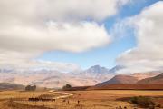 Top Underberg