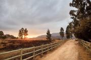 Top Underberg